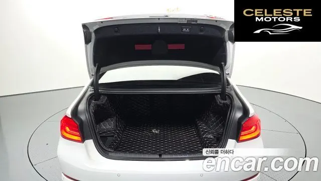 BMW Série 5 (G30) 530i Luxury Plus 2020 — photo 20 sur 20