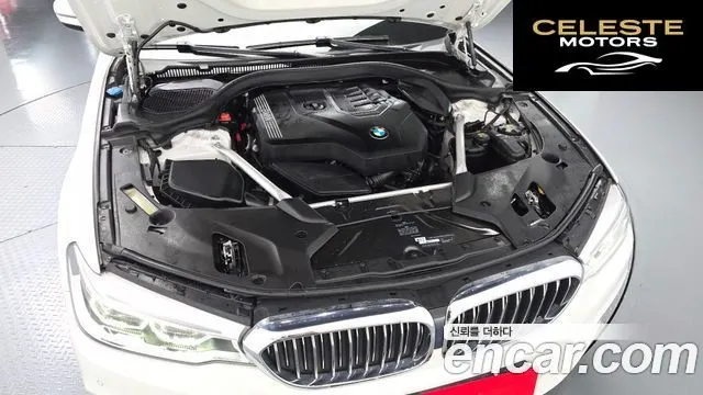 BMW Série 5 (G30) 530i Luxury Plus 2020 — photo 6 sur 20