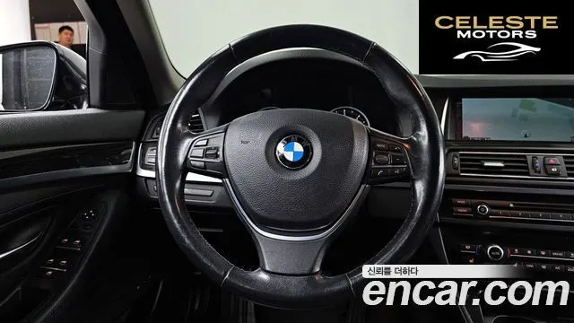 BMW Série 5 (F10) 520d xDrive Luxury Plus 2015 — photo 13 sur 20
