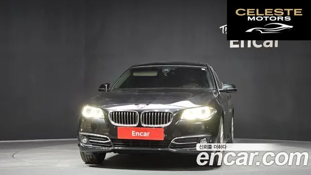BMW Série 5 (F10) 520d xDrive Luxury Plus 2015 — photo 3 sur 20