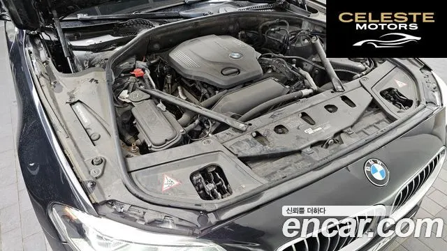BMW Série 5 (F10) 520d xDrive Luxury Plus 2015 — photo 6 sur 20