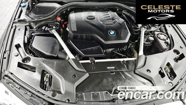 BMW Série 5 (G30) 520i Luxury 2022 — photo 6 sur 33
