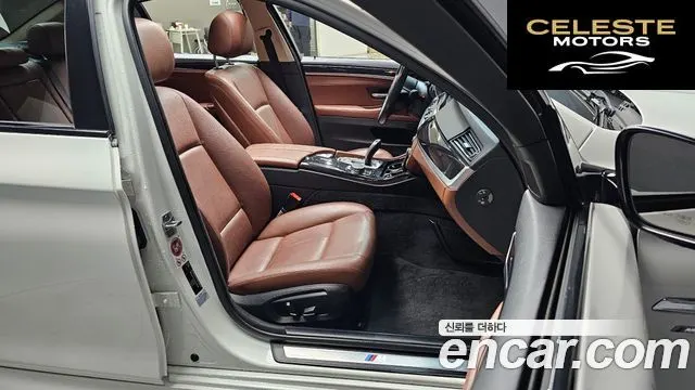 BMW Série 5 (F10) 520d xDrive M Aéro Dynamic 2016 — photo 10 sur 20