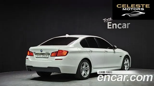 BMW Série 5 (F10) 520d xDrive M Aéro Dynamic 2016 — photo 2 sur 20