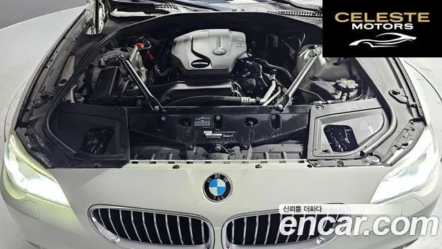 BMW Série 5 (F10) 520d xDrive M Aéro Dynamic 2016 — photo 6 sur 20