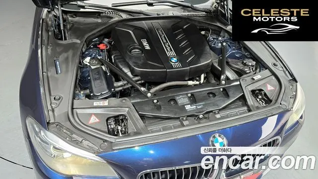 BMW Série 5 (F10) 520d 2014 — photo 6 sur 20
