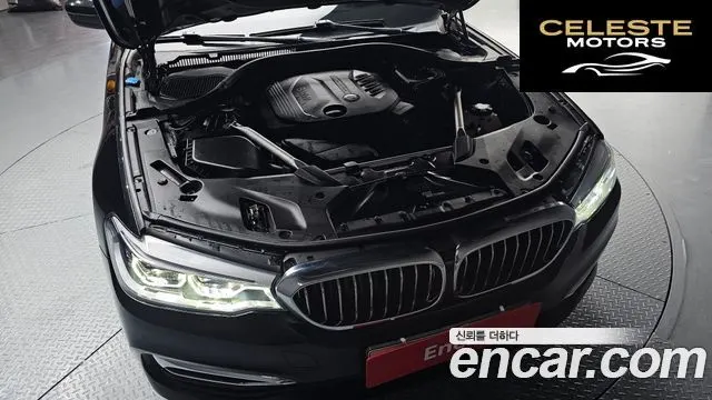 BMW Série 5 (G30) 520d Luxury Spécial Edition 2018 — photo 6 sur 20