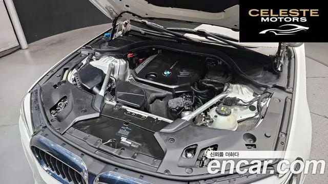 BMW Série 5 (G30) 520d M Sport Plus 2020 — photo 6 sur 30