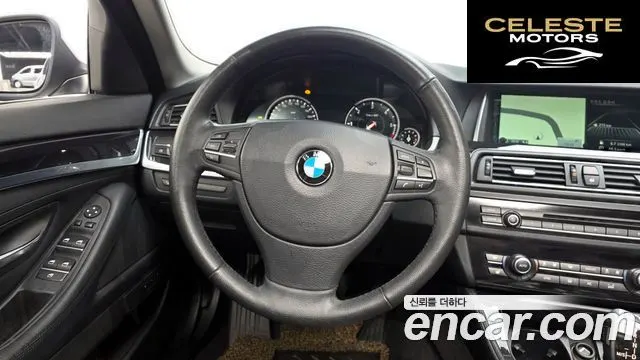 BMW Série 5 (F10) 520d xDrive 2014 — photo 12 sur 20