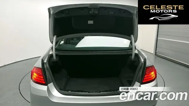 BMW Série 5 (F10) 520d xDrive 2014 — photo 20 sur 20