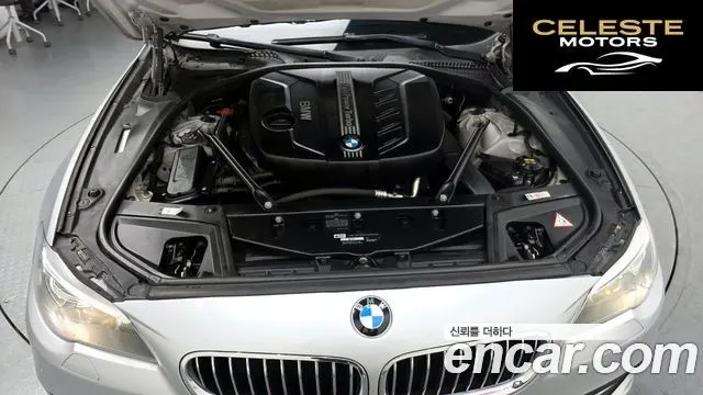 BMW Série 5 (F10) 520d xDrive 2014 — photo 6 sur 20