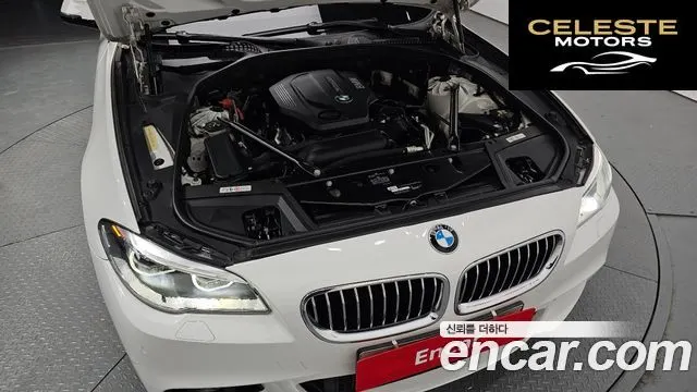 BMW Série 5 (F10) 520d M Aéro Dynamic 2016 — photo 6 sur 26