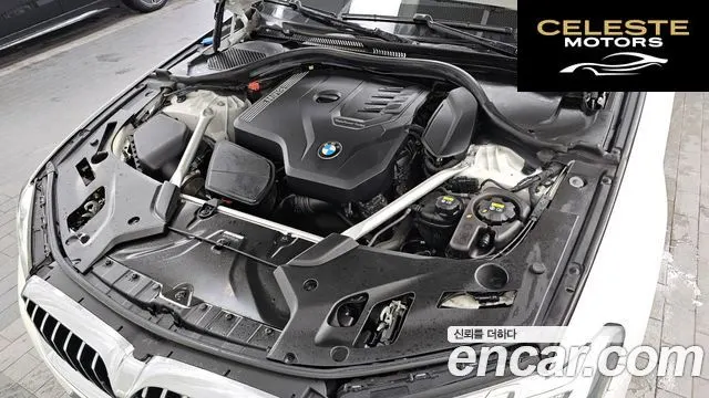 BMW Série 5 (G30) 520i Luxury 2022 — photo 6 sur 33