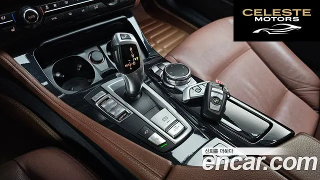 BMW Série 5 (F10) 520d M Aéro Dynamic 2016 — photo 11 sur 37