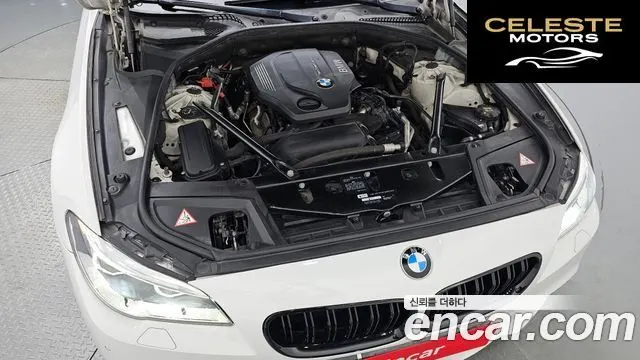 BMW Série 5 (F10) 520d M Aéro Dynamic 2016 — photo 5 sur 37