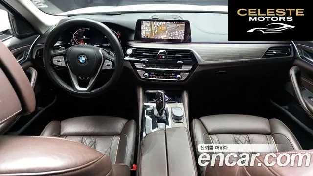 BMW Série 5 (G30) 520d Luxury Plus 2020 — photo 10 sur 30