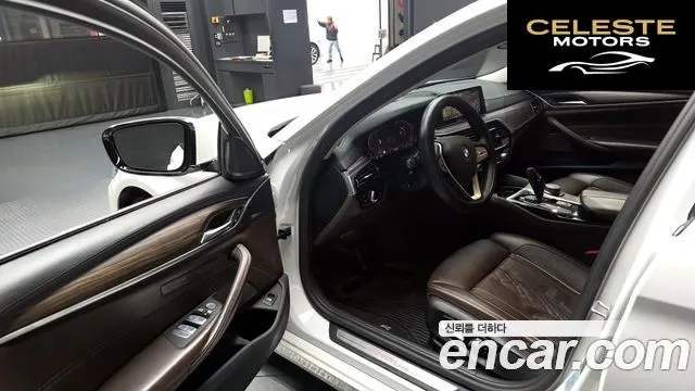 BMW Série 5 (G30) 520d Luxury Plus 2020 — photo 13 sur 30