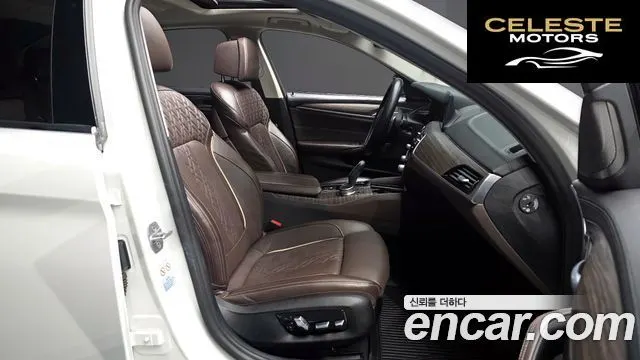 BMW Série 5 (G30) 520d Luxury Plus 2020 — photo 16 sur 30