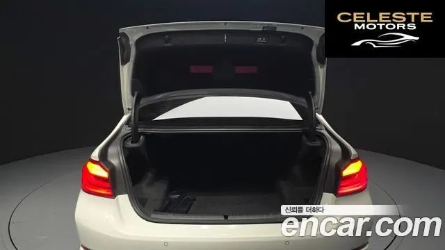 BMW Série 5 (G30) 520d Luxury Plus 2020 — photo 30 sur 30