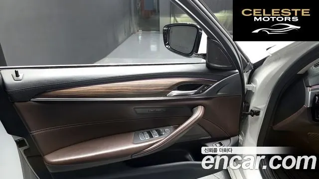 BMW Série 5 (G30) 520d Luxury Plus 2020 — photo 14 sur 30