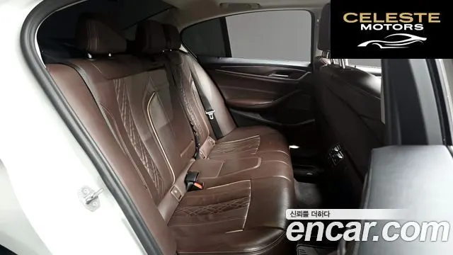 BMW Série 5 (G30) 520d Luxury Plus 2020 — photo 17 sur 30
