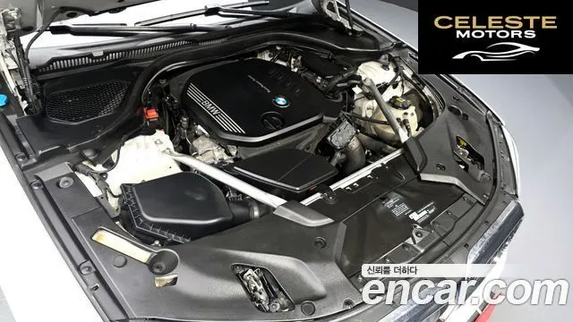 BMW Série 5 (G30) 520d Luxury Plus 2020 — photo 6 sur 30
