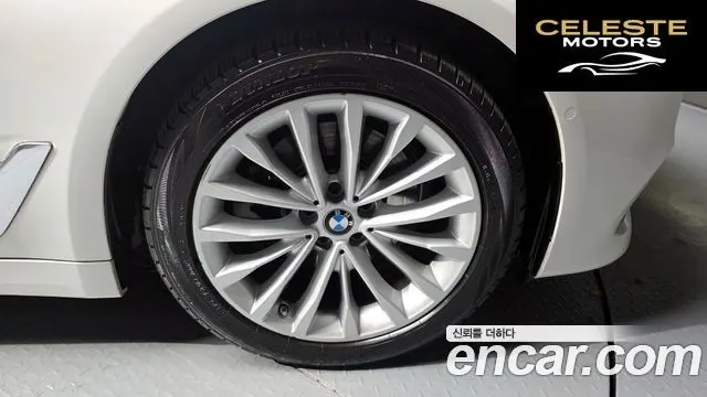 BMW Série 5 (G30) 520d Luxury Plus 2020 — photo 7 sur 30