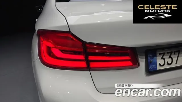 BMW Série 5 (G30) 520d Luxury Plus 2020 — photo 9 sur 30
