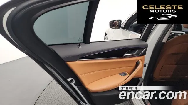 BMW Série 5 (G30) 520i Luxury 2018 — photo 14 sur 39