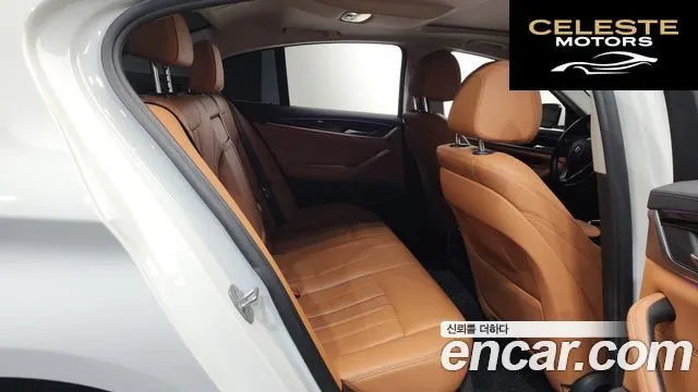 BMW Série 5 (G30) 520i Luxury 2018 — photo 16 sur 39