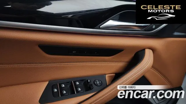BMW Série 5 (G30) 520i Luxury 2018 — photo 24 sur 39