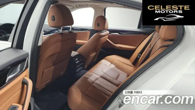BMW Série 5 (G30) 520i Luxury 2018 — photo 25 sur 39