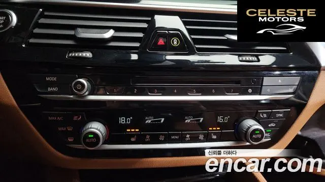 BMW Série 5 (G30) 520i Luxury 2018 — photo 29 sur 39