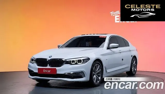 BMW Série 5 (G30) 520i Luxury 2018 — photo 33 sur 39
