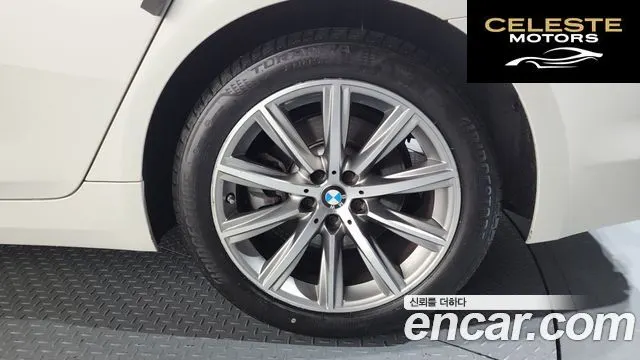 BMW Série 5 (G30) 520i Luxury 2018 — photo 6 sur 39