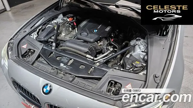 BMW Série 5 (F10) 520d xDrive M Aéro Dynamic 2016 — photo 6 sur 20