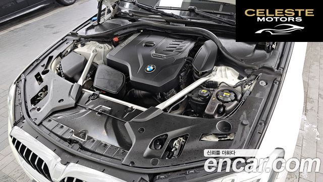 BMW Série 5 (G30) 520i Luxury 2022 — photo 6 sur 33