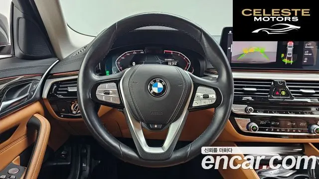 BMW Série 5 (G30) 520i Luxury 2021 — photo 14 sur 20