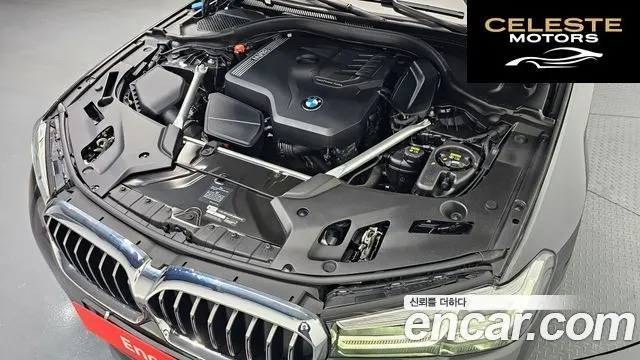 BMW Série 5 (G30) 520i Luxury 2021 — photo 6 sur 20