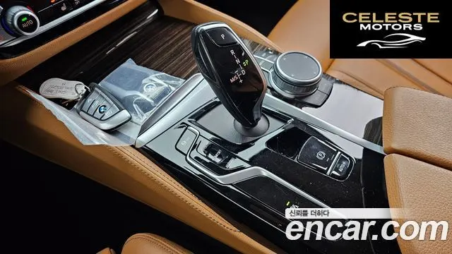BMW Série 5 (G30) 520i Luxury 2021 — photo 9 sur 20