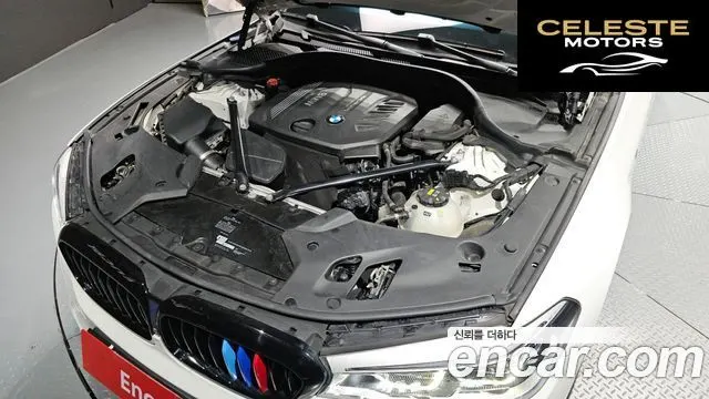 BMW Série 5 (G30) 520d M Sport Plus 2017 — photo 6 sur 30
