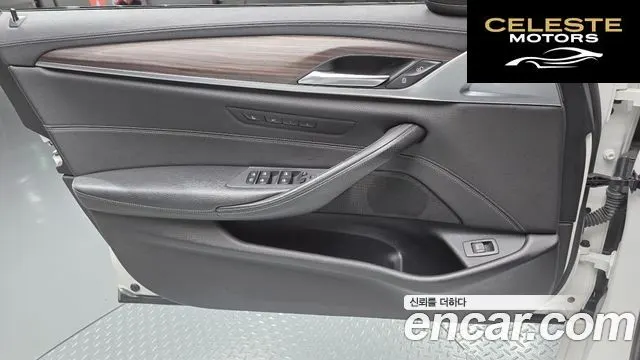 BMW Série 5 (G30) 520d M Sport Plus 2017 — photo 14 sur 30