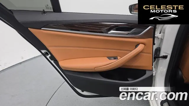 BMW Série 5 (G30) 520i Luxury 2021 — photo 15 sur 40