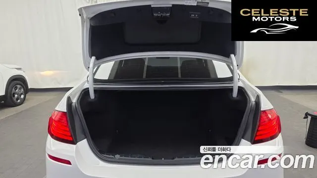 BMW Série 5 (F10) 520d xDrive M Aéro Dynamic 2016 — photo 20 sur 26