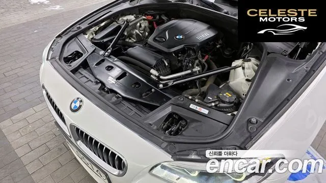 BMW Série 5 (F10) 520d xDrive M Aéro Dynamic 2016 — photo 6 sur 26