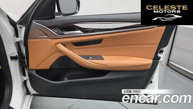 BMW Série 5 (G30) 520i Luxury 2021 — photo 14 sur 40