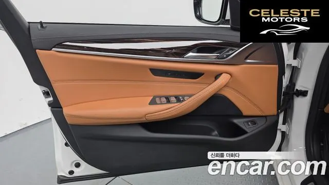 BMW Série 5 (G30) 520i Luxury 2021 — photo 30 sur 40
