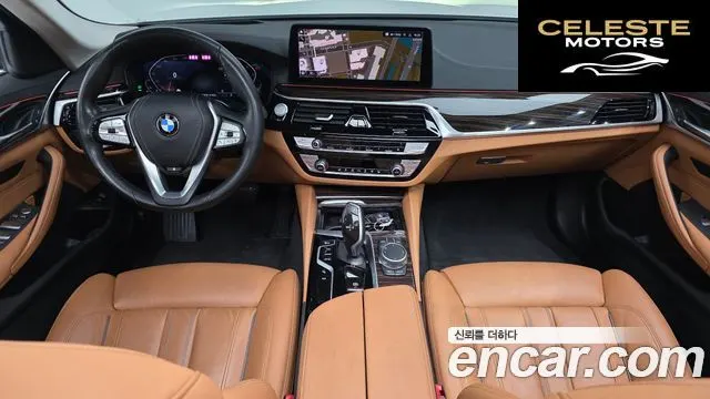 BMW Série 5 (G30) 520i Luxury 2021 — photo 38 sur 40