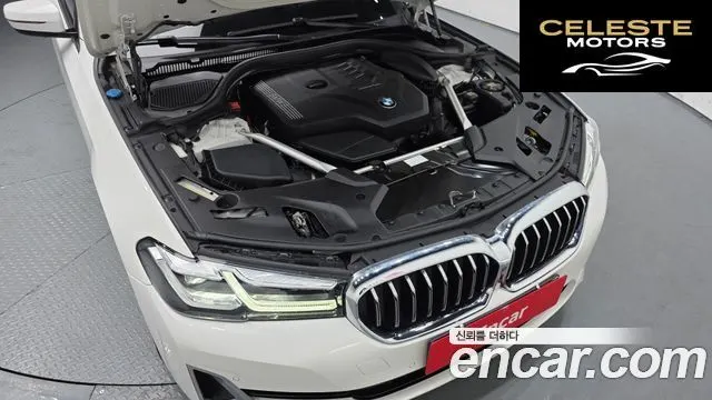 BMW Série 5 (G30) 520i Luxury 2021 — photo 6 sur 40