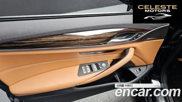 BMW Série 5 (G30) 520i Luxury 2023 — photo 14 sur 35